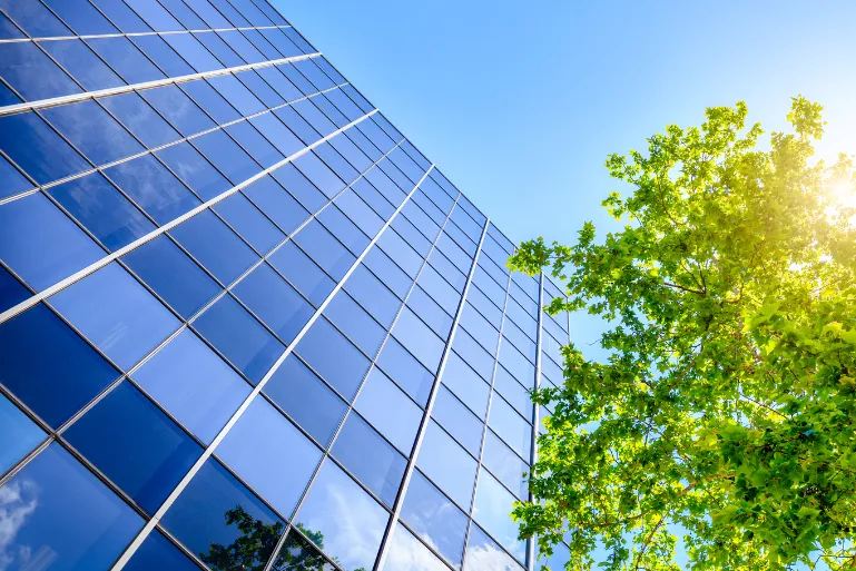 Fachada de un edificio junto un árbol
